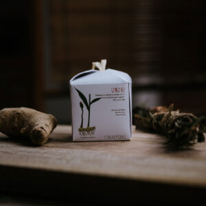 Gengevo - Shampoo e Balsamo Solido 2 in 1 Volumizzante