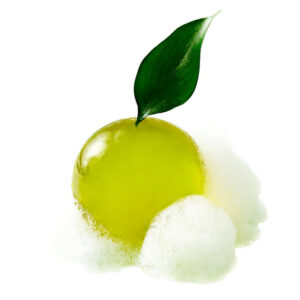 Ongredients Jeju Green Tea Cleansing Ball